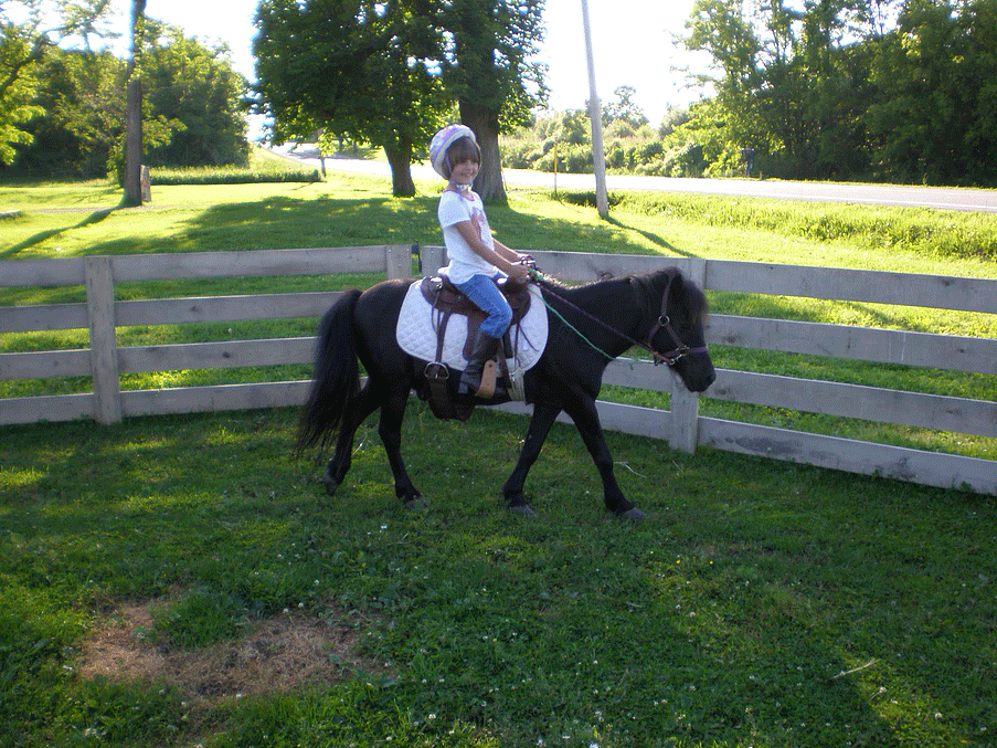 Toddler pony riding at Little Dude Ranch