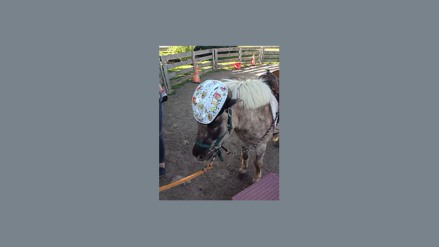 Children's party service,Event Planner,Party Planner,Children's party service