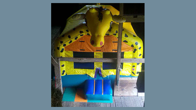 Children's party service,Event Planner,Party Planner,Children's party service