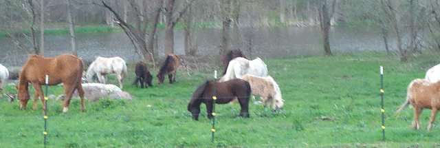 Children's party service,Event Planner,Party Planner,Children's party service