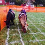 Children's party service,Event Planner,Party Planner,Children's party service